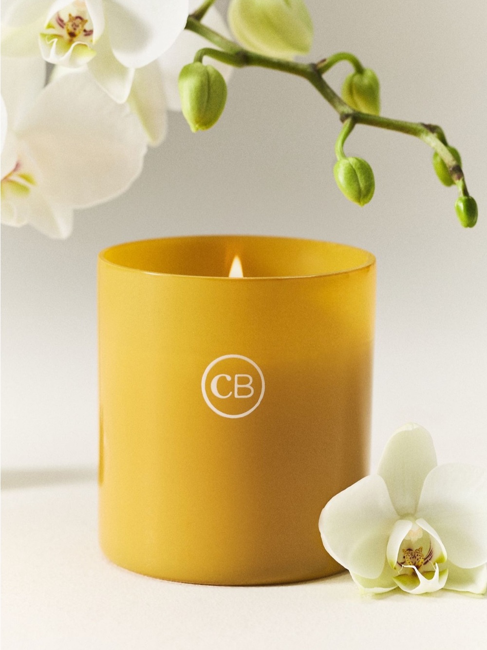 Capri Blue Floral Aloha Orchid Nautical Boxed
Glass Candle